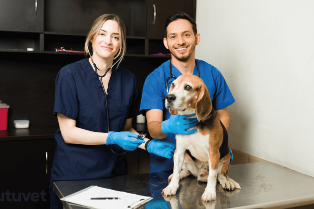 Sondas-Sutuvet-Veterinarios-y-mascotas